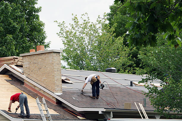 Best Roof Gutter Cleaning  in Titusville, PA